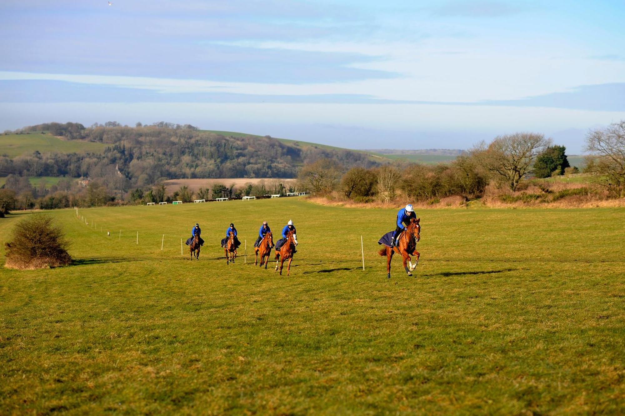 The Downs Stables Glamping Pod Theos Charm